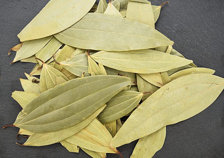 Bay-leaves-2