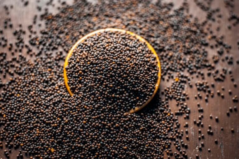 Mustard-Seeds